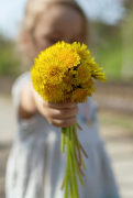 flower-bouquet 50 list